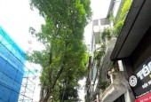 Bán Nhà Phố Trần Phú Ô tô đỗ Kinh doanh,DT84m mặt tiền 4,3m Giá 14,1 Tỷ