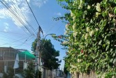 BÁN LÔ ĐẤT HẺM CẦU DỨA PHÚ NÔNG XÃ VĨNH NGỌC