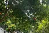 Biệt thự Liền Kề-Phố Nguyễn Trãi (Cự Lộc) Gần Royal City 90m/5Tầng/MT 6m-41Tỷ