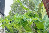 BÁN NHÀ CẤP 4 ĐƯỜNG Ô TÔ SÔNG DẦU - DIÊN AN -DIÊN KHÁNH