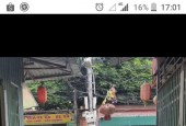Bán đất thôn Tự Thôn,Bắc Ninh.