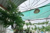 Bán nhà Tân Bình, Nguyễn Phúc Chu,72m2 (5.5*13m), tiện xây mới,  ngay cổng kcn, chợ. 4.3T