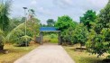 ĐẤT CHÍNH CHỦ - GIÁ TỐT - Vị Trí Đẹp Tại Huyện Phú Riềng, Tỉnh Bình Phước