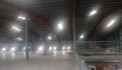 Thuê nhà xưởng cỡ lớn Diện Tích 5000 m². Khu công nghiệp huyện Đông Hưng - TP Thái Bình.