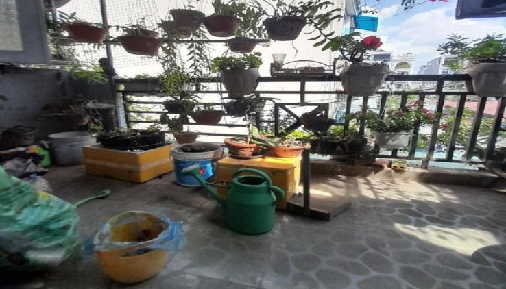 1331m2 có 20x tỷ x Mặt tiền Hà Duy Phiên Bình Mỹ Củ Chi TP.HCM
