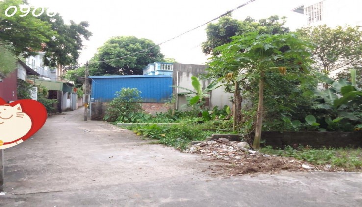 Cc gửi bán 56.5m2, chỉ 1.x tỷ, Đại Yên, Chương Mỹ, Hà Nội, ngõ thông, ô tô, giáp Tl419, giáp tt Chúc Sơn