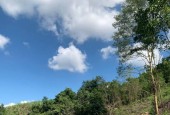 Đầu Tư Sinh Lời Với Lô Đất DT Rộng 1,4ha Tại Sông Hinh, Phú Yên - Giá chỉ 550 triệu!