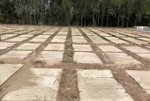 Bán đất nền dự án Phúc An Viên Long An