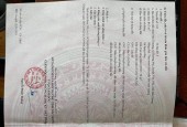 Chính chủ cần bán Nhanh Lô Đất Tại Thôn Mai Thượng - Xã Mai Hương - Việt Yên - Bắc Giang.