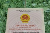 ĐẤT MẶT TIỀN - CHÍNH CHỦ - Ấp Xóm Mới 2, Xã Trí Bình, Huyện Châu Thành - Tây Ninh