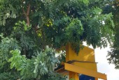 CHO THUÊ NHÀ NGUYÊN CĂN MẶT TIỀN – SỐ 167 BIS, ĐƯỜNG HOÀNG SA