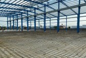 Cho Thuê Hoặc Bán Xưởng KCN Mỹ Phước 2, Bình Dương - Diện Tích Khủng 10.000m², Giá Tốt