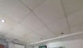 1331m2 có 20x tỷ x Mặt tiền Hà Duy Phiên Bình Mỹ Củ Chi TP.HCM