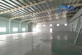 Cho thuê xưởng chế xuất EPE 5.000m2 KCN AMATA TP Biên Hòa, Đồng Nai