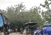 Bán gấp giá rẻ nhà ô tô, kinh doanh Tam Trinh 473m, cấp 4, mặt tiền 10m, 47.1 tỷ Hoàng Mai.