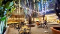 Bán Gấp quán Cafe 434m2 2 tầng có 29 tỷ Lê Văn Khương Quận 12 TP.HCM