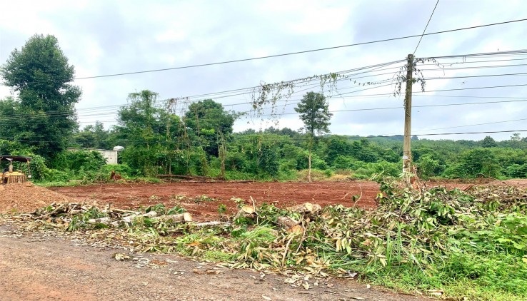 Bán rẻ 2 sổ (10x68=1018m2) thổ cư, nở hậu, mặt tiền nhựa tỉnh lộ dân đông đối diện xí nghiệp chỉ 399t