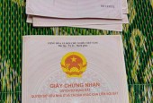 ĐẤT CHÍNH CHỦ - GIÁ TỐT - Vị Trí Đẹp Tại Xã Sen Phương, Huyện Phúc Thọ, Thành phố Hà Nội