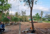 Bán Đất Xã Diên Đồng, Diên Khánh – Một Lô Duy Nhất, Giá Chỉ 1,2 Triệu/m²!