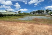 Đất thiệt hông mua mua đất nào? Bán nhanh 2 sổ 10x25=250m2 SHR,Thổ Cư mặt Tiền Ql13 vào chỉ 190tr/sổ