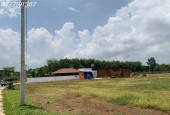 gấp gấp 3 sào Thuận Lợi Đồng Phú giá bể hơn chữ bể... ngộp ngộp