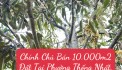 Chính Chủ Bán 10.000m2 Đất Tại Phường Thống Nhất, Xã Buôn Hồ, Đắk lắk