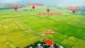 Bán siêu phẩm view lúa cực đẹp tại Diên Lạc , ngay trung tâm hành chính Diên Khánh.