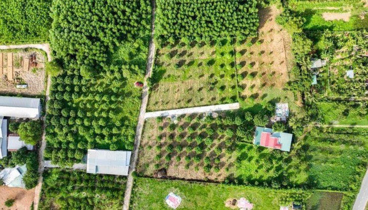 Siêu Phẩm Đất QH Full Thổ Cư 500.6m², Đường Rộng 5,5m Suối Tiên, Diên Khánh