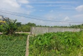 BÁN LÔ ĐẤT PHƯỜNG HOÀNG DIỆU, TIỀM NĂNG SINH LỜI CAO DIỆN TÍCH KHỦNG