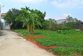 Chính chủ gửi bán 68m2 đất Đình Trung - Xuân Nộn - Đông Anh