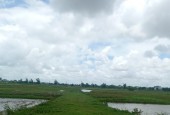 MẶT ĐƯỜNG KIẾN XƯƠNG THÁI BÌNH DIỆN TÍCH 7000M, MẶT TIỀN 50M  ĐẤT TMDV, GIÁ 5,5 TỶ