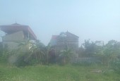 Cần bán 900m2 đất hiếm, đẹp, oto vào Hà Hồi, Thường Tín, Giá 4,x tỷ
