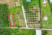 CHỦ KẸT CẦN BÁN GẤP LÔ ĐẤT QH FULL THỔ 500,6M2 - NẰM MẶT TIỀN ĐƯỜNG 5,5m TẠI SUỐI TIÊN - DIÊN KHÁNH!