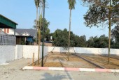 Em có lô đất cần tiền nên bán ở Phúc Tiến, Bình Yên chuẩn bị kho hàng Tết 2025