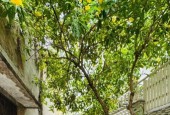 Khu Vực Hiếm Nhà Bán Đường Dạ Nam Quận 8 Phường 2.