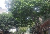BÁN NHÀ PHÂN LÔ TÔ VĨNH DIỆN THANH XUÂN - GẦN PHỐ NGÕ THÔNG KINH DOANH - 40M 5T; GIÁ 9.XTỶ