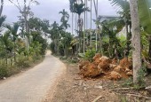 Cần tiền gấp nên bán nhanh lô đất 690m² tại Thôn 6, Lưỡng Vượng