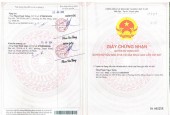 Chính Chủ Cần Bán Lô Đất Vị Trí Đẹp Tại 388 Vườn Lài, Khu Phố 2, Phường An Phú Đông, Quận 12, TP Hồ Chí Minh.