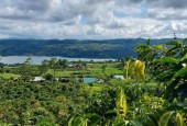 600 TRIỆU/SÀO ĐẤT LÂM HÀ VIEW SÔNG ĐỒNG NAI