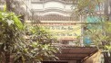 BÁN NHÀ PHỐ TRẦN ĐẠI NGHĨA, LÔ GÓC,Ô TÔ TRÁNH, KINH DOANH, 35M2 7T MT5,2M GIÁ 7,9 TỶ