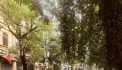 BÁN NHÀ PHỐ TRẦN ĐẠI NGHĨA, LÔ GÓC,Ô TÔ TRÁNH, KINH DOANH, 35M2 7T MT5,2M GIÁ 7,9 TỶ