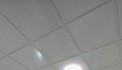 Hàng Hiếm - BTCT Tô Ngọc Vân 2, Giá Nhỉnh 1,5 Tỷ