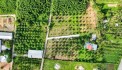 Siêu Phẩm Đất QH Full Thổ Cư 500.6m², Đường Rộng 5,5m Suối Tiên, Diên Khánh". Giá 1.1 tỷ!!