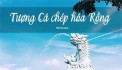 Bán đất kiệt ô tô tải quay đầu 178m2 - đường Nguyễn Công Trứ, Sơn Trà, Đà Nẵng - Giá 8 tỷ TL