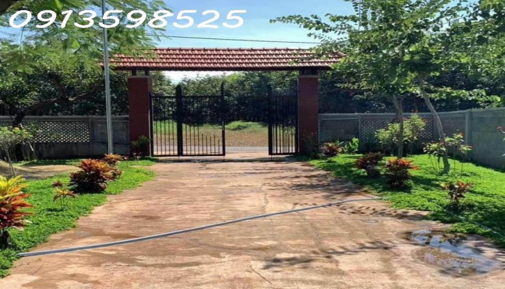 Cần tiền cho con đi XKLD bán nhà vườn 2300m2, 300 tr, có nhà cấp 4 và vườn cây trái.