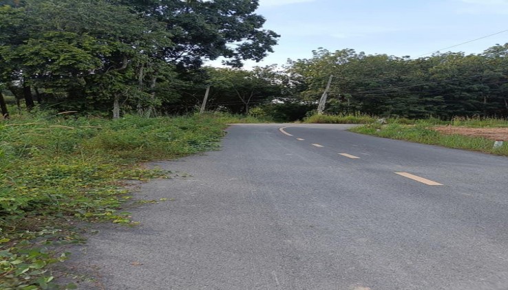Sang lại miếng đất vườn (29 x 65 = 1.606m2) đã tách 5 SỔ HỒNG RIÊNG, THỔ CƯ, suối, nhà hiện hữu,DT756, 210TR/SỔ