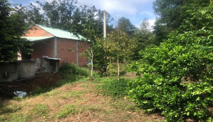 Sang lại miếng đất vườn (29 x 65 = 1.606m2) đã tách 5 SỔ HỒNG RIÊNG, THỔ CƯ, suối, nhà hiện hữu,DT756, 210TR/SỔ