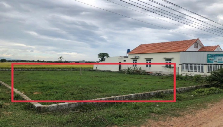 Bán Đất Full Thổ Cư Ninh Quang, Ninh Hòa – Đất Đẹp, Giá Tốt Chỉ 850 Triệu!