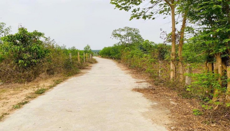 Siêu Phẩm Đất QH Full Thổ Cư 500.6m², Đường Rộng 5,5m Suối Tiên, Diên Khánh