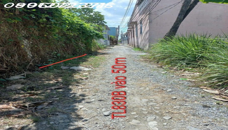 Bán đất thổ cư 247m2, Tỉnh lộ 825D, Long Định, Cần Đước, Long An - 1.5 tỷ